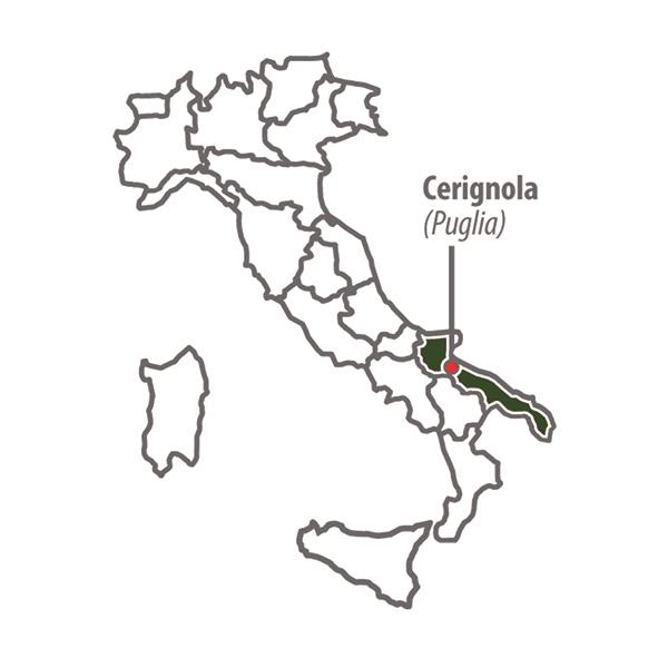 BELLA DI CERIGNOLA GREEN OLIVES