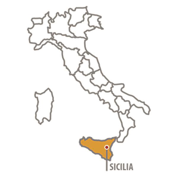 PITTED GREEN NOCELLARA ETNEA OLIVES