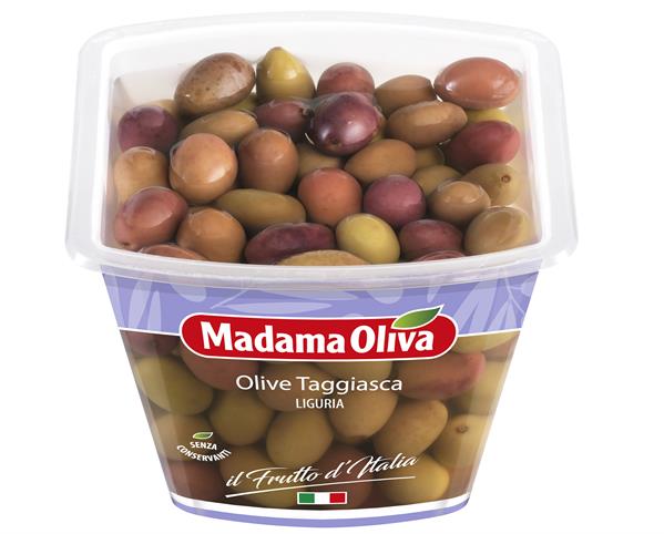 OLIVE TAGGIASCA GR 170