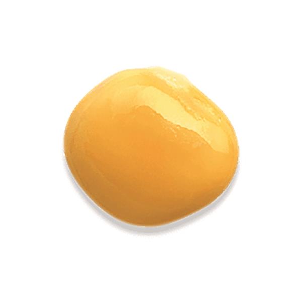 LUPINI BIO SALATI