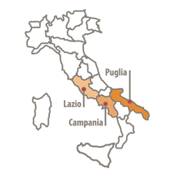 LUPINI SALATI