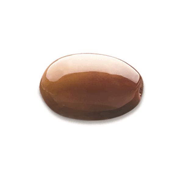 TAGGIASCA OLIVES