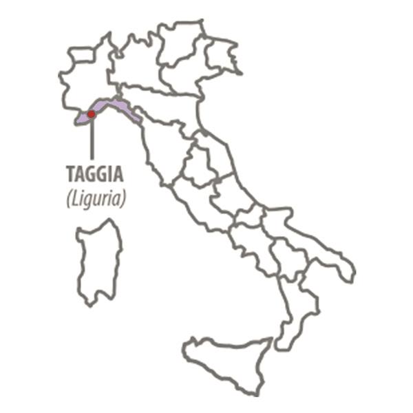TAGGIASCA OLIVES