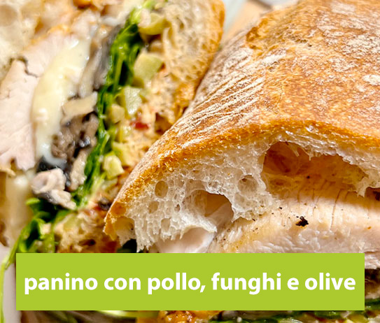 panino-pollo-ok